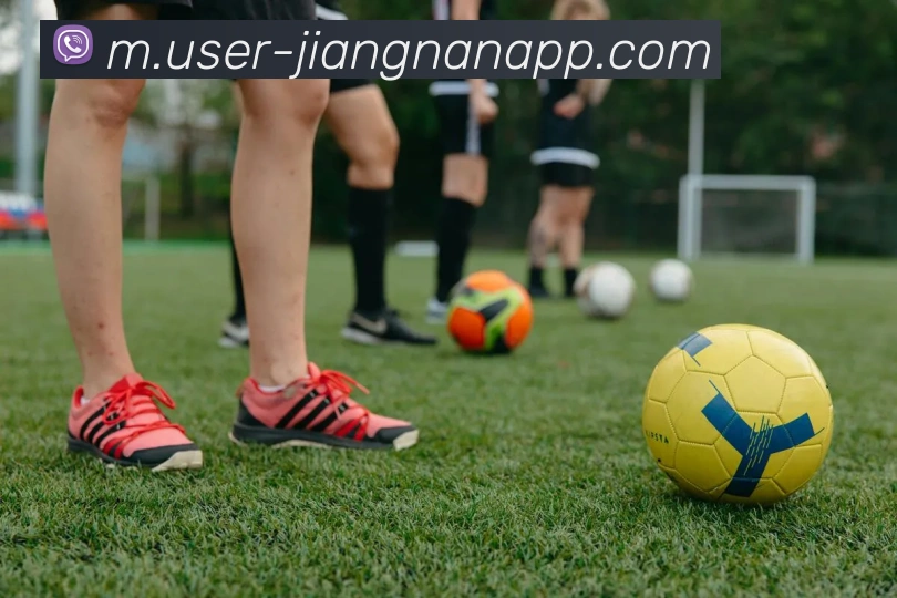 江南体育APP 封面图